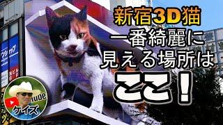 The place where Shinjuku 3D cats can be seen beautifully is here!