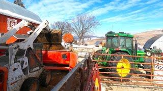 Hauling Out A Winters Worth Of Manure! Dairy Farming In Wisconsin!