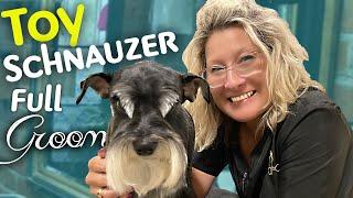 Miniature Schnauzer - Breed Standard TRIM (instructional video)