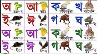 Banjonborno song | ক,খ,গ ব্যাঞ্জনবর্ণ | Bangla Alphabet |Bangla Bornomala | Kids Learning Video ||
