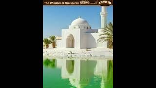 DIAMOND WHITE MOSQUE ~ In The Name of Allah #islam #quran  #Quran #islamic #viralvideo #shorts