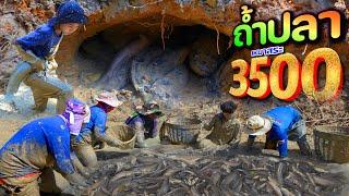 เหมาสระ 3,500 บาท เจอถ้ำปลา ซุกกำราใหญ่เพียบ catch and cook thailand l เหมาสระปี67 l Ep.09