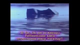 Жуда гўзал қироат-Рахмон сураси 055