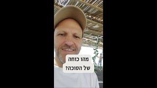 כוחה של הסוכה