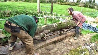 Opening Up The Spalted Beech Log For The First Time