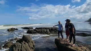 Westcoast  bay  bertongkupit  in new zealand   beautiful place