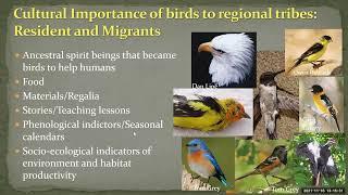 Webinar 9   Integrating Indigenous Traditional Practices into Bird Friendly Forest Management