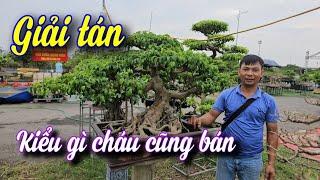 SH.9457. Giải tán cuộc chơi kiểu gì cháu cũng bán chú ạ.