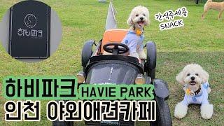 인천야외애견카페/하비파크/HAVIE PARK/DOG PARK IN INCHEON,KOREA