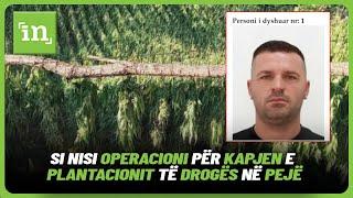 Ekskluzive: Insajderi sjell videon se si nisi operacioni për kapjen e plantacionit të drogës në Pejë