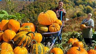 Oriental Dishes from the Autumn Harvest! 40 Minutes of Privacy with Nature