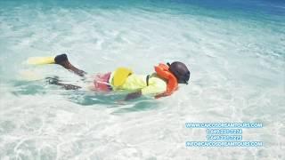 How to Snorkel in Turks and Caicos with Caicos Dream Tours