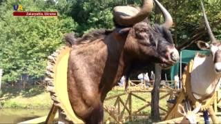 Ukraine's Hunters Show Off Their Mastery in Zakarpattia Region