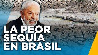 Brasil pasa por la peor sequía de su historia: "Sin agua, nadie vive"