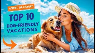 Top 10 Dog-Friendly Vacation Spots You Need to Visit | Dogs Care