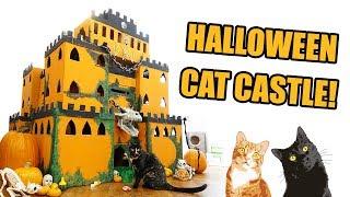 EPIC Halloween Cat Castle! - Cole and Marmalade