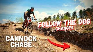 Can a beginner ride the NEW Follow the Dog sections? | MTB Cannock Chase