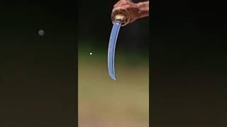 Can you Slice a bullet with a katana for $20k?? (thought impossible )#mrbeast #mrbeasthindi
