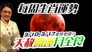 天赦開運｜2025生肖運勢週報｜3/10-3/16｜金玲老師（有字幕）