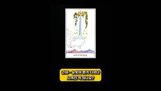 우리 강아지, 지금 나한테 하고 싶은 말이 있다고요? | 반려견 타로 리딩