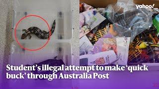 Chinese student’s illegal attempt to make ‘quick buck’ through Australia Post | Yahoo Australia