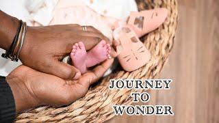 Journey to WONDER.