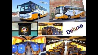 Go Bus Egypt To Sharm El Sheikh Elite, Deluxe, Busines, Royal & Classic Class English Review