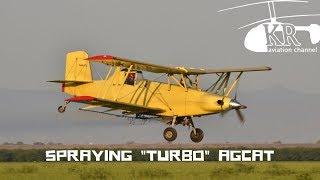 Spraying with Grumman G-164 "Turbo" Ag Cat near Lemoore, CA