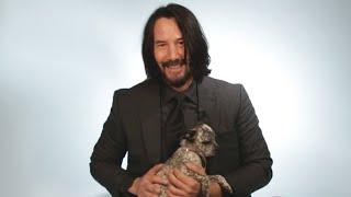 Keanu Reeves Plays With Puppies While Answering Fan Questions