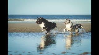 Jou + Beetee || Borkum 2018