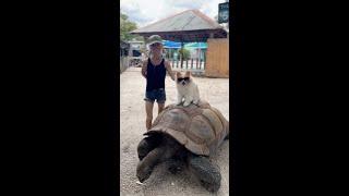 Koda & Tiffany Go to Gatorland! Episode 3 The Fearless Adventures