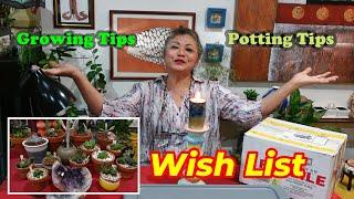 UNBOXING Birthday Wish SUCCULENT Plant Haul | CACTUS CATHY