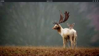 Install gnome shell extensions manually  