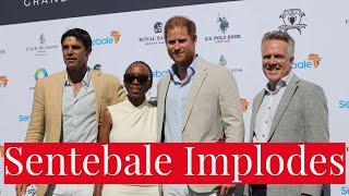 Prince Harry's Lesotho Charity Sentebale Implodes After Chair of the Board Claims Bullying, Misogyny