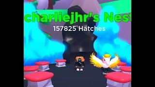 Getting scammed in Pet swarm