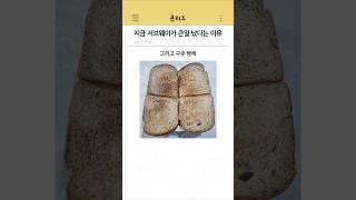 지금 서브웨이가 큰일 났다는 이유