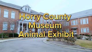 Horry County Museum Animal Exhibit #ataglance