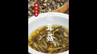 鹿茸菇炒着吃脆，煲汤鲜，大人小孩都爱吃 #鹿茸菇 #汤料 #煲汤