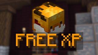 How To Get A FREE Max Level Pet | Hypixel SkyBlock