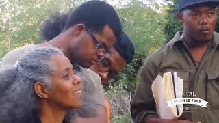 Permaculture in Curacao  Agroforestry (Curacao classics)