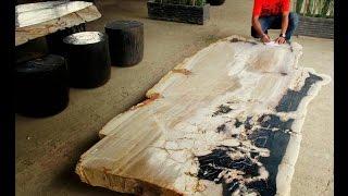 Petrified Wood Dining Room Table