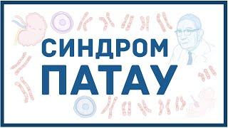 Синдром Патау - механизм развития, причины, клинические проявления