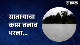 Satara's Kas lake was filled Satara | castalav | Rain |Vajraiwaterfall| Sakalmedia|Maharashtra| Water