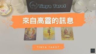 -Tinya Tarot-來自高靈的訊息無時間限制