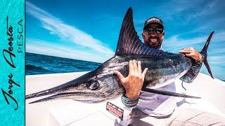 Pescamos TRES MARLIN en 1 HORA - @Pescando Con Snook Mafia ​