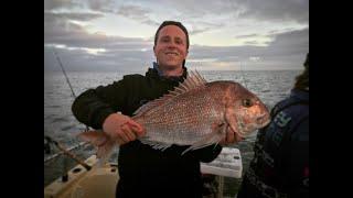 Snapper fishing- Reedys Rigz