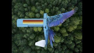 Distributed Feather-Inspired Flow Control