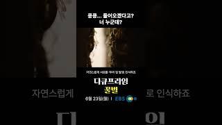 킁킁... 들어오겠다고? 너 누군데?｜#다큐프라임 꿀벌｜6월 23일(월) 첫방송
