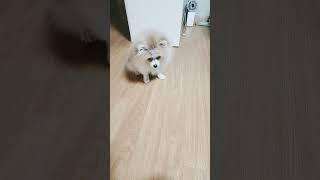 산이 훈련 3