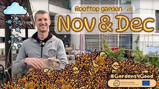 ️ Garden for Alzheimer in Nov/Dec ⇢ It's compost season  #Leaves #Kitchenscraps #NursingHome